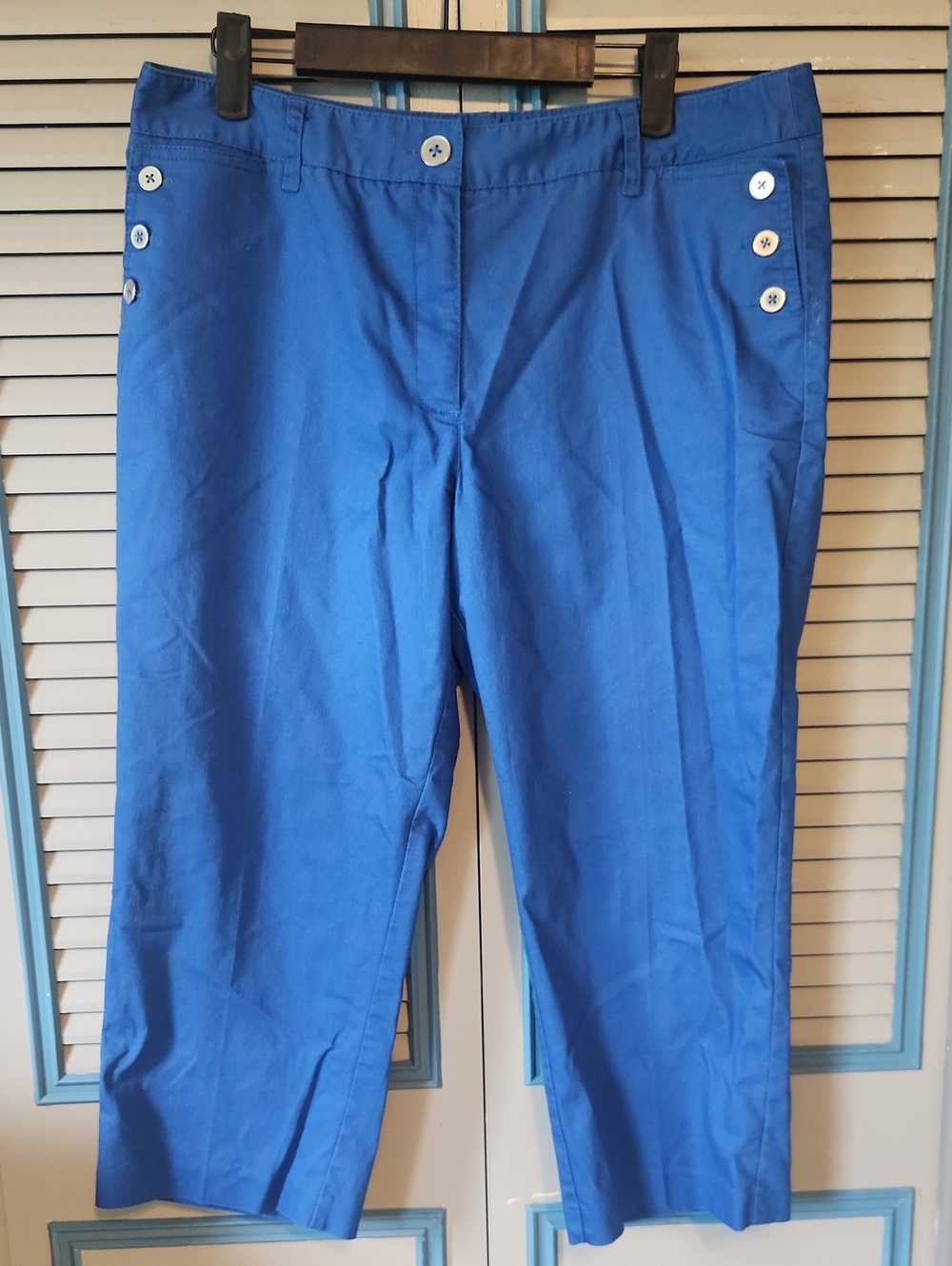 Zac & Rachel Cobalt Blue Capri Pants